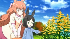 セントールの悩み　第１１話　■花の名前は……は人の数だけあるんだよ、ってきっと嘘！/■美しさは人の数だけあるんだよ、広義で言えばきっと本当？