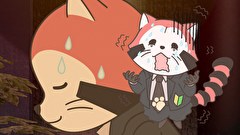 あらいぐま カルカル団　第１９話　MISSION-19　登れ！大人の階段！
