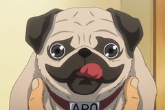 宇宙兄弟　第３４話　月夜の晩にパグとハグ