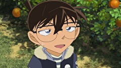 名探偵コナン　第２３シーズン　第９２４話　みかん畑に陽は沈む