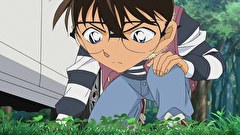 名探偵コナン　第２６シーズン　第１０１２話　山菜狩りとクローバー　後編