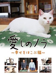 愛しのノラ　～幸せをはこぶ猫～
