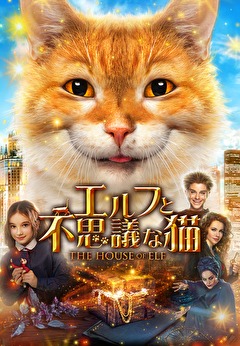 エルフと不思議な猫