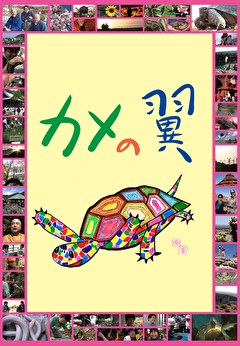 カメの翼