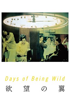 欲望の翼