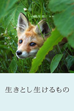 生きとし生けるもの