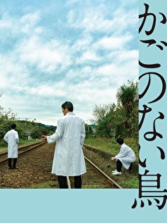 かごのない鳥