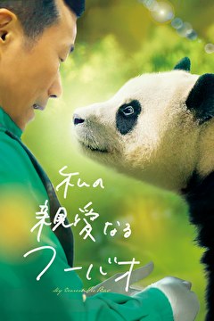 私の親愛なるフーバオ