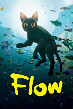 Flow