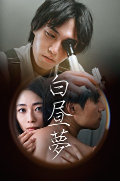 白昼夢
