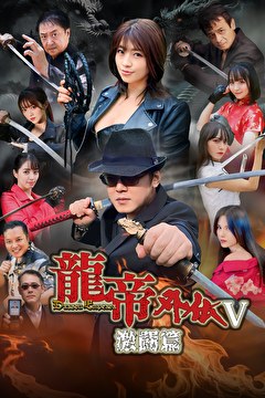 龍帝外伝V 激闘篇