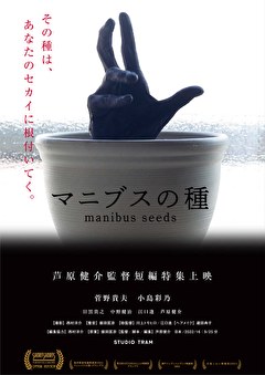 マニブスの種