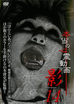 本当の心霊動画「影」１４