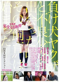 ＴＡＰ　完全なる飼育