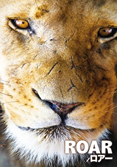 ＲＯＡＲ／ロアー