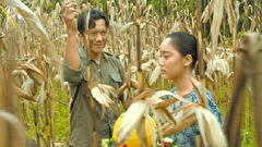 故郷（ふるさと）へ（「エンジェルサイン」EP5）