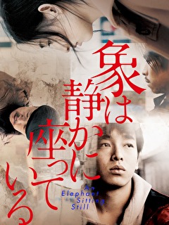 象は静かに座っている