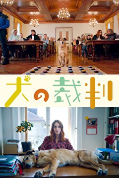 犬の裁判
