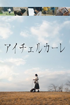 アイチェルカーレ
