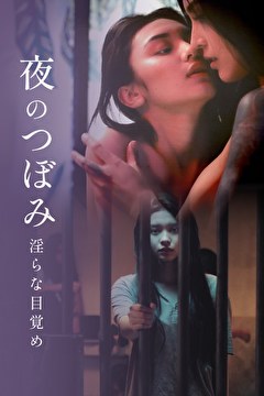 夜のつぼみ 淫らな目覚め