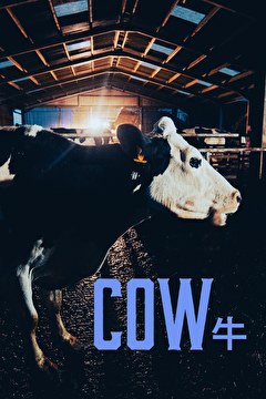 COW／牛