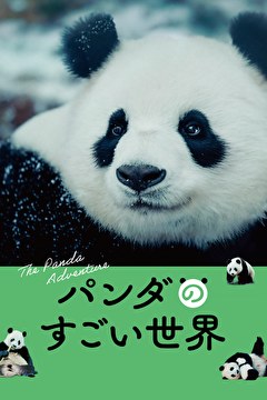 パンダのすごい世界