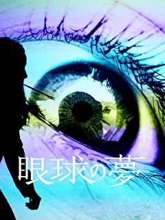 眼球の夢