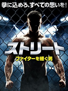 ストリート　ファイターを継ぐ男