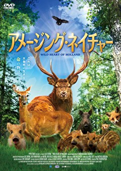 アメージング・ネイチャー