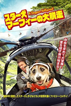 スター犬マーフィーの大脱走【字幕】