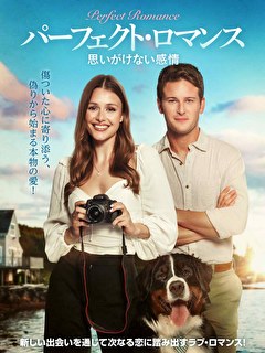 パーフェクト・ロマンス　思いがけない感情【吹替】