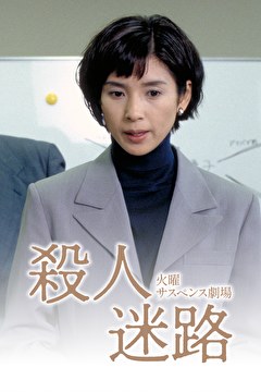 火曜サスペンス劇場　殺人迷路