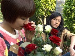 薔薇之恋～薔薇のために～　第３３話　隠されていた真実