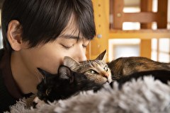 ねこ物件　第１話　猫と暮らすということ