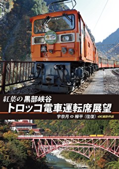 紅葉の黒部峡谷トロッコ電車運転席展望