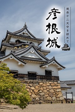 現存12天守を訪れて 彦根城