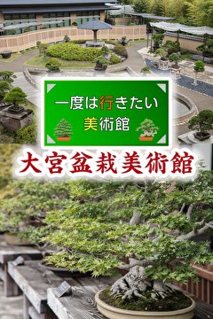 一度は行きたい美術館 大宮盆栽美術館