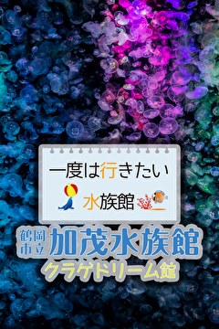 一度は行きたい水族館 鶴岡市立加茂水族館 クラゲドリーム館