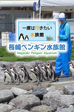 一度は行きたい水族館 長崎ペンギン水族館