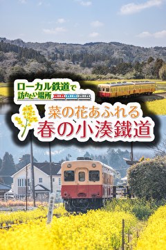 ローカル鉄道で訪れたい場所 菜の花あふれる春の小湊鐵道