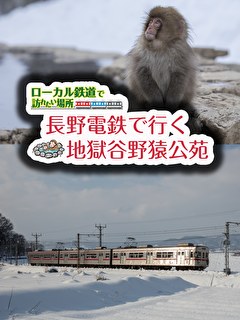 ローカル鉄道で訪れたい場所 長野電鉄で行く地獄谷野猿公苑