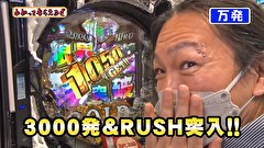 万発・ヤングのわかってもらえるさ　＃２４６　メビウス西川口店