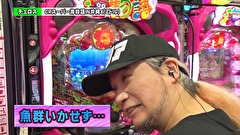 双極銀玉武闘　ＰＡＩＲ　ＰＡＣＨＩＮＫＯ　ＢＡＴＴＬＥ　１３３話～１３６話