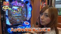 ポコポコ大作戦　２９話～３２話