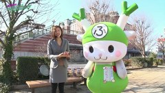 青山りょうのＭＩＳＳＩＯＮ：ＰＯＳＳＩＢＬＥ？　＃１７　ＭＩＳＳＩＯＮ１７：パチスロ北斗の拳　強敵