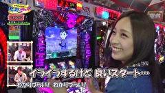 レビンとバッチのゲッツ＆ゴー！！　＃１３　松本家の内情を探るはずがまさかの・・・フェアリン編