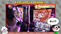 笑う門には福きたる　２２５話～２２８話