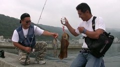 アオリイカエギング名人堤防からの挑戦
