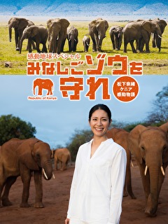感動地球スペシャル　みなしごゾウを守れ 松下奈緒ケニア感動物語