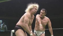 リクエストマッチ　グローバル・リーグ戦　特集　秋山準ＶＳ髙山善廣　グローバル・リーグ戦’１０　優勝決定戦　２０１０年５月２日　東京・日本武道館